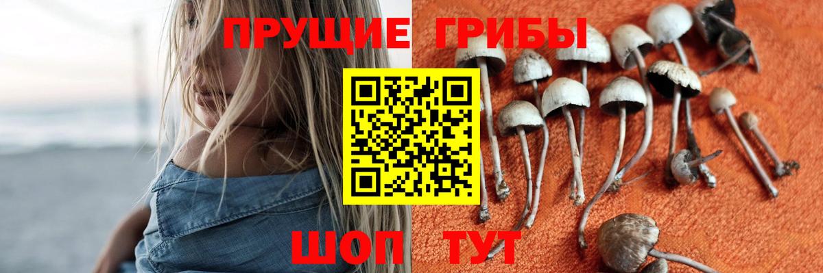 Псилоцибиновые грибы ЛСД Рыбинск