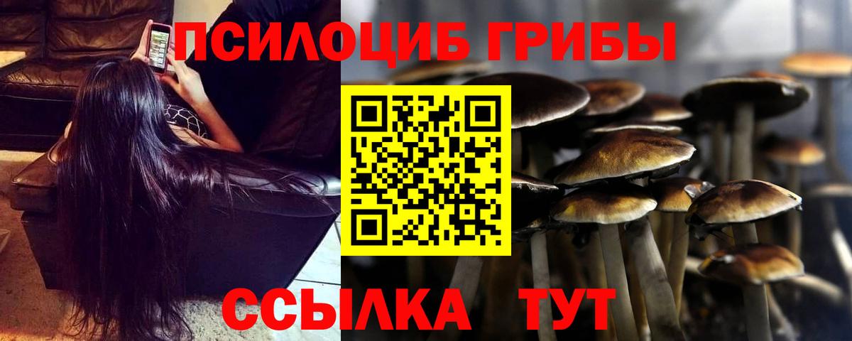 Псилоцибиновые грибы GOLDEN TEACHER  Галлюциногенные грибы Magic Shrooms  Рыбинск  Вход с VPN 